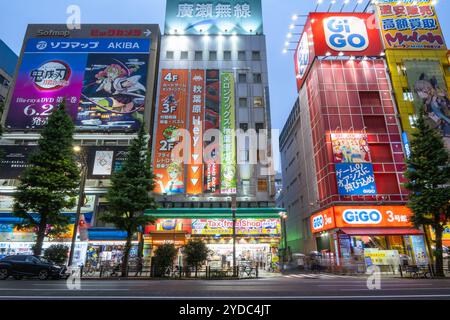 Blick auf die Akihabara Electronics Shopping Malls und Geschäfte im Stadtzentrum am 11. Juni 2023 in Tokio, Japan Stockfoto