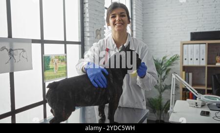 Eine junge hispanische Tierärztin untersucht eine französische Bulldogge in einer gut beleuchteten Tierklinik und hebt dabei die professionelle Innenumgebung hervor Stockfoto