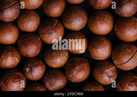 Macadamia-Nüsse aus nächster Nähe. Macadamia-Nüsse im Hintergrund. Stockfoto