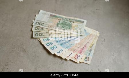 Polnische Zloty-Banknoten sind auf einer Betonoberfläche verteilt und zeigen verschiedene Stückelungen für den finanziellen und wirtschaftlichen Kontext in polen. Stockfoto