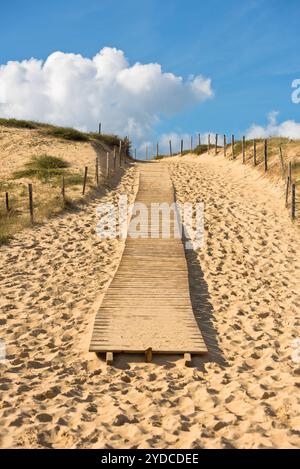 Hölzerner Fußweg durch Dünen am Meeresstrand Stockfoto