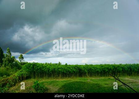 Wunderschöner Doppelregenbogen nach dem Regen am Himmel über der Feldlandschaft von Bangladesch Stockfoto