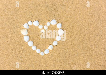 Muschelherz am Sandstrand Stockfoto
