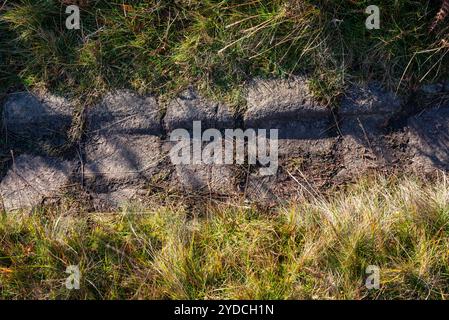 Alte Kopfsteinpflasterkante am Loftend Quarry, Crowden im Longdendale Valley, North Derbyhsire, England. Nahaufnahme von Kopfsteinpflaster, die bei Verwendung getragen wurden. Stockfoto