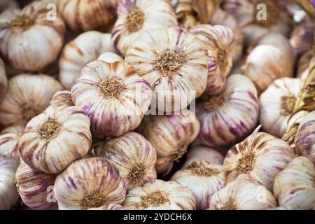 Knoblauchbündel auf einem Markt Stockfoto