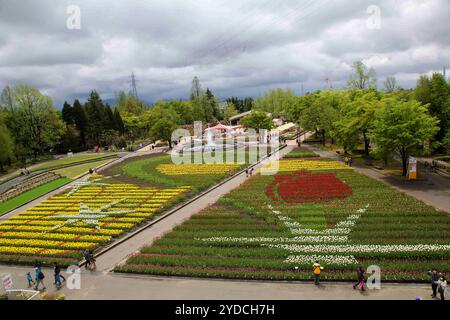 Die Stadt Tonami ist einer der führenden Hersteller von Tulpenzwiebeln. Das jährliche Tulpenfest findet jedes Jahr von Ende April bis Anfang Mai im Tonami Tulip Park statt. Die Tulpenmesse zeigt etwa 3 Millionen Tulpen, die in 600 verschiedenen Sorten in verschiedenen Farben und Sorten blühen, die bis ins Auge gefasst werden. Auf der Messe gab es einen 5 Meter hohen Tulpenbaum, schwimmende Tulpenschoten im Wasser, eine Tulpenförmige Aussichtsplattform, eine riesige Tulpenmauer und Gärten im niederländischen Stil. Das Hauptblumenbeet ist mit 210.000 Tulpen gefüllt, die alle in der Region angebaut werden. Das Festival zieht jährlich Tausende von Besuchern an Stockfoto