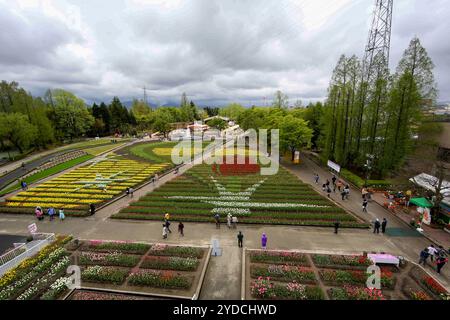 Die Stadt Tonami ist einer der führenden Hersteller von Tulpenzwiebeln. Das jährliche Tulpenfest findet jedes Jahr von Ende April bis Anfang Mai im Tonami Tulip Park statt. Die Tulpenmesse zeigt etwa 3 Millionen Tulpen, die in 600 verschiedenen Sorten in verschiedenen Farben und Sorten blühen, die bis ins Auge gefasst werden. Auf der Messe gab es einen 5 Meter hohen Tulpenbaum, schwimmende Tulpenschoten im Wasser, eine Tulpenförmige Aussichtsplattform, eine riesige Tulpenmauer und Gärten im niederländischen Stil. Das Hauptblumenbeet ist mit 210.000 Tulpen gefüllt, die alle in der Region angebaut werden. Das Festival zieht jährlich Tausende von Besuchern an Stockfoto