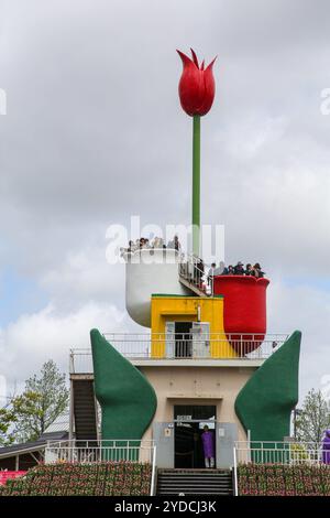 Die Stadt Tonami ist einer der führenden Hersteller von Tulpenzwiebeln. Das jährliche Tulpenfest findet jedes Jahr von Ende April bis Anfang Mai im Tonami Tulip Park statt. Die Tulpenmesse zeigt etwa 3 Millionen Tulpen, die in 600 verschiedenen Sorten in verschiedenen Farben und Sorten blühen, die bis ins Auge gefasst werden. Auf der Messe gab es einen 5 Meter hohen Tulpenbaum, schwimmende Tulpenschoten im Wasser, eine Tulpenförmige Aussichtsplattform, eine riesige Tulpenmauer und Gärten im niederländischen Stil. Das Hauptblumenbeet ist mit 210.000 Tulpen gefüllt, die alle in der Region angebaut werden. Das Festival zieht jährlich Tausende von Besuchern an Stockfoto