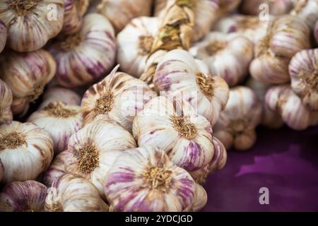 Knoblauchbündel auf einem Markt Stockfoto