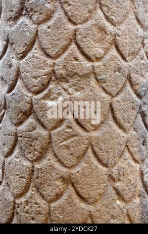 Trier Deutschland 3. Oktober 2024 Rheinisches Landesmuseum Trier, archäologisches Museum. Ausstellungen römischer Antiquitäten. Muster in der Steinmetzarbeit. n.b., Fotos, die mit Erlaubnis der Museumsbehörden nach Vorlage des Presseausweises aufgenommen wurden. Stockfoto