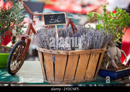 Lavendelsträucher, die auf einem französischen Markt verkauft werden Stockfoto