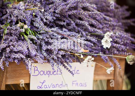 Lavendel Trauben verkaufen in einer im französischen Markt Stockfoto