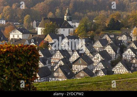 Herbstmorgen im Siegerland. Blick aus dem Kurpark auf die historische Altstadt von Freudenberg mit ihren Fachwerkhäusern. Oberhalb der Altstadt befindet sich die EV Kirche. Herbst im Siegerland am 26.10.2024 in Freudenberg/Deutschland. *** Herbstmorgen im Siegerland Blick von den Kurgärten auf die historische Altstadt Freudenbergs mit ihren Fachwerkhäusern über der Altstadt ist die EV-Kirche Herbst im Siegerland am 26 10 2024 in Freudenberg Deutschland Stockfoto