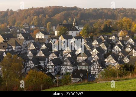 Herbstmorgen im Siegerland. Blick aus dem Kurpark auf die historische Altstadt von Freudenberg mit ihren Fachwerkhäusern. Oberhalb der Altstadt befindet sich die EV Kirche. Herbst im Siegerland am 26.10.2024 in Freudenberg/Deutschland. *** Herbstmorgen im Siegerland Blick von den Kurgärten auf die historische Altstadt Freudenbergs mit ihren Fachwerkhäusern über der Altstadt ist die EV-Kirche Herbst im Siegerland am 26 10 2024 in Freudenberg Deutschland Stockfoto