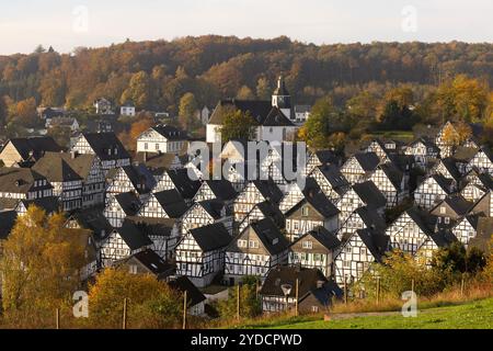 Herbstmorgen im Siegerland. Blick aus dem Kurpark auf die historische Altstadt von Freudenberg mit ihren Fachwerkhäusern. Oberhalb der Altstadt befindet sich die EV Kirche. Herbst im Siegerland am 26.10.2024 in Freudenberg/Deutschland. *** Herbstmorgen im Siegerland Blick von den Kurgärten auf die historische Altstadt Freudenbergs mit ihren Fachwerkhäusern über der Altstadt ist die EV-Kirche Herbst im Siegerland am 26 10 2024 in Freudenberg Deutschland Stockfoto