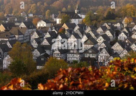 Herbstmorgen im Siegerland. Blick aus dem Kurpark auf die historische Altstadt von Freudenberg mit ihren Fachwerkhäusern. Oberhalb der Altstadt befindet sich die EV Kirche. Herbst im Siegerland am 26.10.2024 in Freudenberg/Deutschland. *** Herbstmorgen im Siegerland Blick von den Kurgärten auf die historische Altstadt Freudenbergs mit ihren Fachwerkhäusern über der Altstadt ist die EV-Kirche Herbst im Siegerland am 26 10 2024 in Freudenberg Deutschland Stockfoto