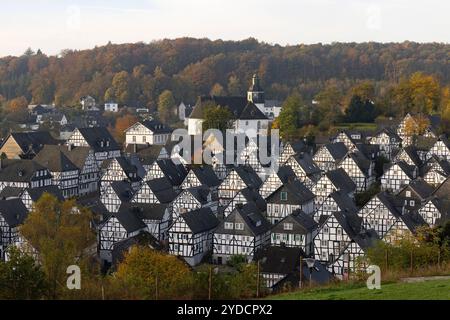 Herbstmorgen im Siegerland. Blick aus dem Kurpark auf die historische Altstadt von Freudenberg mit ihren Fachwerkhäusern. Oberhalb der Altstadt befindet sich die EV Kirche. Herbst im Siegerland am 26.10.2024 in Freudenberg/Deutschland. *** Herbstmorgen im Siegerland Blick von den Kurgärten auf die historische Altstadt Freudenbergs mit ihren Fachwerkhäusern über der Altstadt ist die EV-Kirche Herbst im Siegerland am 26 10 2024 in Freudenberg Deutschland Stockfoto