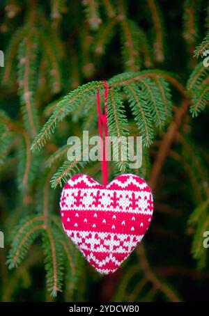 Strickherz auf Tannenzweig Stockfoto