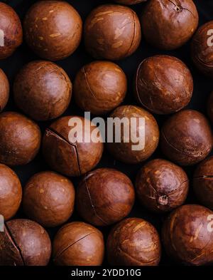 Macadamia-Nüsse aus nächster Nähe. Macadamia-Nüsse im Hintergrund Stockfoto