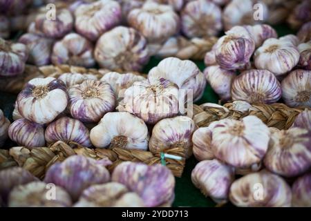 Knoblauchbündel auf einem Markt Stockfoto