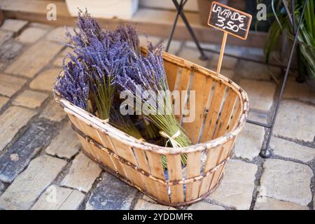 Lavendel Trauben verkaufen in einer im französischen Markt Stockfoto