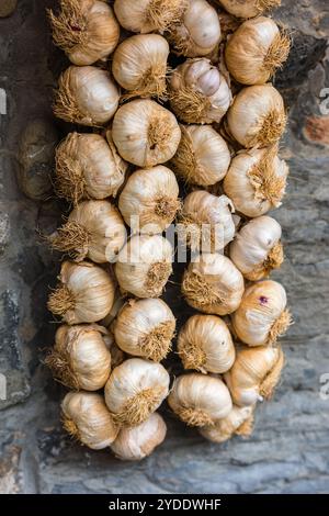 Knoblauchsträucher auf einem Bauernmarkt Stockfoto