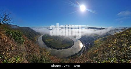 Calmont Themenfoto: Deutschland, Mosel, Moselschleife, Fluss, Calmont, 24.10.2024 die Mselschleife vom Aussichtspunkt Bremm bei herbstichem Wetter, rechts die Ortschaft Bremm Themenfoto: Deutschland, Mosel, Moselschleife, Fluss, Calmont, 24.10.2024 *** Calmont Themenfoto Deutschland, Mosel, Moselbogen, Fluss, Calmont, 24 10 2024 die Moselkurve vom Aussichtspunkt Bremm bei Herbstwetter, rechts das Dorf Bremm Themenfoto Deutschland, Mosel, Moselkurve, Fluss Calmont, 24 10 2024 Copyright: xAugstx/xEibner-Pressefotox EP jat Stockfoto