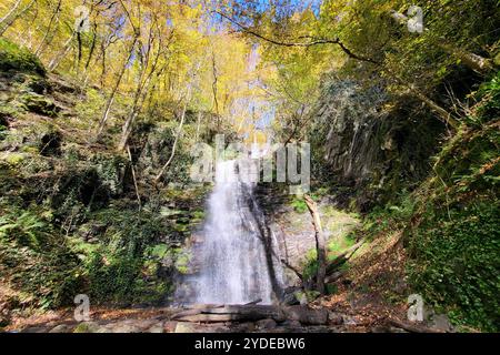 Kliding Themenfoto: Natur, Herbst, Eifel, Wasserfall, 24.10.2024 der Klidinger Wasserfall in Kliding, Eifel, Rheinlad-Pfalz Themenfoto: Natur, Herbst, Eifel, Wasserfall, 24.10.2024 *** Kliding Themenfoto Natur, Fall, Eifel, Wasserfall, 24 10 2024 Kliding Wasserfall in Kliding, Eifel, Rheinlad Pfalz Themenfoto Natur, Fall, Eifel, Wasserfall, 24 10 2024 Copyright: xAugstx/xEibner-Pressefotox EP jat Stockfoto