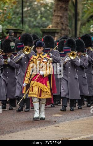 Guards Drum Major in State Dress, Birdcage Walk, London, UK Stockfoto