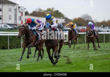 Doncaster, Vereinigtes Königreich. Samstag, 26. Oktober 2024. La Bellota und Oisin Murphy gewinnen die William Hill Prospect Stakes für Trainer John Ryan und Eigentümer Gerry McGladery. Credit JTW equine Images / Alamy Live News Stockfoto