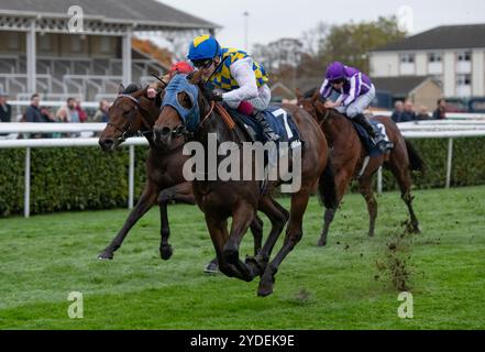 Doncaster, Vereinigtes Königreich. Samstag, 26. Oktober 2024. La Bellota und Oisin Murphy gewinnen die William Hill Prospect Stakes für Trainer John Ryan und Eigentümer Gerry McGladery. Credit JTW equine Images / Alamy Live News Stockfoto