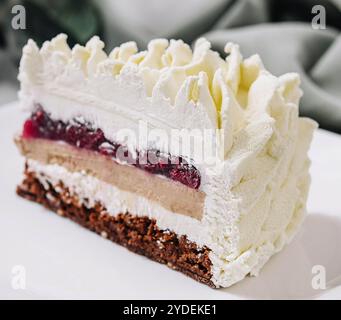 Mehrschichtiger Mousse Cake auf weißer Platte Stockfoto