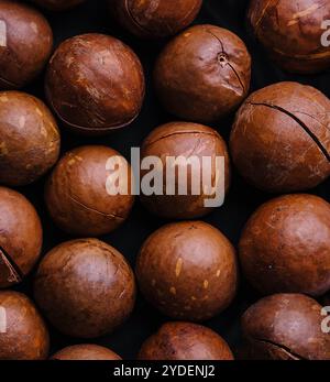 Macadamia-Nüsse aus nächster Nähe. Macadamia-Nüsse im Hintergrund Stockfoto