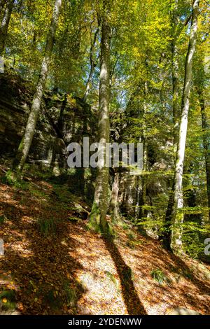 Malerische Naturvielfalt von Müllerthal, Luxemburgs kleiner Schweiz, Wanderwege, Felsformationen, moosbedeckte Wälder, Touristenziel in E Stockfoto