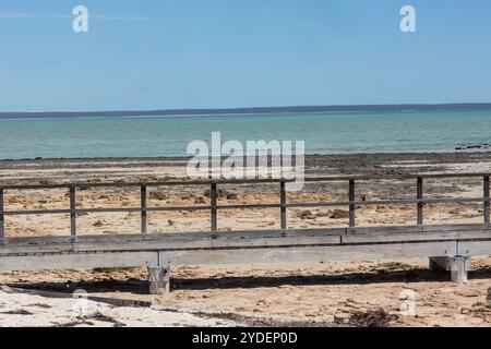 Hamelin Pool Stromatolites, Westaustralien Stockfoto