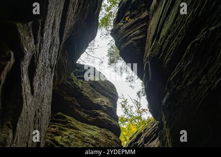 Malerische Naturvielfalt von Müllerthal, Luxemburgs kleiner Schweiz, Wanderwege, Felsformationen, moosbedeckte Wälder, Touristenziel in E Stockfoto