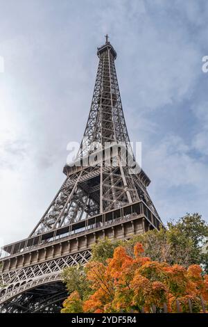 Ein Baum mit herbstlichen Blättern am Fuße des Eiffelturms, Paris, Frankreich Stockfoto