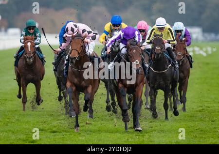 Doncaster, Vereinigtes Königreich. Samstag, 26. Oktober 2024. Hotazhell und Shane Foley gewinnen die William Hill Futurity Trophy Stakes für die Trainerin Mrs. J. Harrington und die Eigentümerin Silverton Hill Partnership. Credit JTW equine Images / Alamy Live News Stockfoto