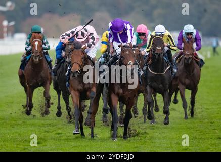 Doncaster, Vereinigtes Königreich. Samstag, 26. Oktober 2024. Hotazhell und Shane Foley gewinnen die William Hill Futurity Trophy Stakes für die Trainerin Mrs. J. Harrington und die Eigentümerin Silverton Hill Partnership. Credit JTW equine Images / Alamy Live News Stockfoto