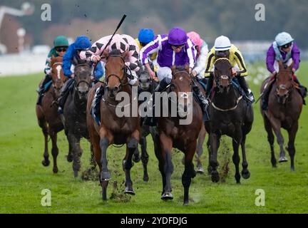 Doncaster, Vereinigtes Königreich. Samstag, 26. Oktober 2024. Hotazhell und Shane Foley gewinnen die William Hill Futurity Trophy Stakes für die Trainerin Mrs. J. Harrington und die Eigentümerin Silverton Hill Partnership. Credit JTW equine Images / Alamy Live News Stockfoto