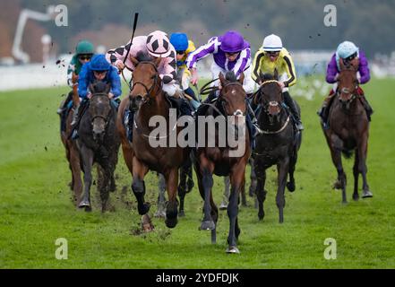 Doncaster, Vereinigtes Königreich. Samstag, 26. Oktober 2024. Hotazhell und Shane Foley gewinnen die William Hill Futurity Trophy Stakes für die Trainerin Mrs. J. Harrington und die Eigentümerin Silverton Hill Partnership. Credit JTW equine Images / Alamy Live News Stockfoto