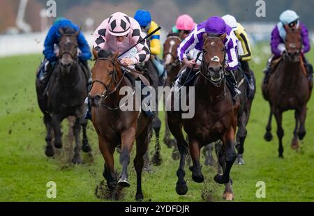 Doncaster, Vereinigtes Königreich. Samstag, 26. Oktober 2024. Hotazhell und Shane Foley gewinnen die William Hill Futurity Trophy Stakes für die Trainerin Mrs. J. Harrington und die Eigentümerin Silverton Hill Partnership. Credit JTW equine Images / Alamy Live News Stockfoto