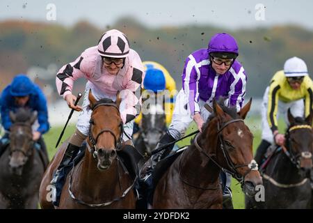 Doncaster, Vereinigtes Königreich. Samstag, 26. Oktober 2024. Hotazhell und Shane Foley gewinnen die William Hill Futurity Trophy Stakes für die Trainerin Mrs. J. Harrington und die Eigentümerin Silverton Hill Partnership. Credit JTW equine Images / Alamy Live News Stockfoto