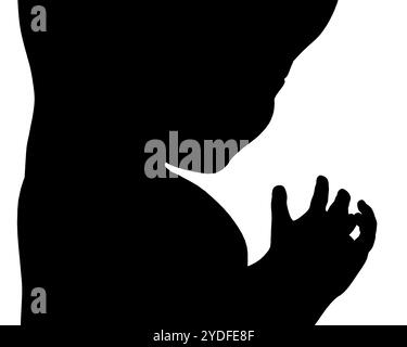 Silhouette des grafischen Fetus-Symbols. Menschliches Embryo-Silhouettenzeichen isoliert auf weißem Hintergrund. Vektorabbildung Stock Vektor