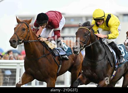 Newbury, Großbritannien, 26.10.2024, Make You Smile Ridden by Harry Davies gewinnt die BetVictor St Simon Stakes 15,45 auf der Newbury Racecourse, Newbury Picture von Paul Blake/Alamy Sports News Stockfoto