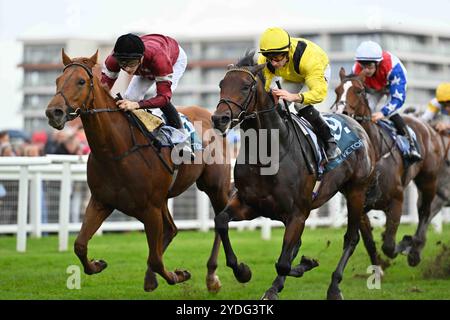 Newbury, Großbritannien, 26.10.2024, Make You Smile Ridden by Harry Davies gewinnt die BetVictor St Simon Stakes 15,45 auf der Newbury Racecourse, Newbury Picture von Paul Blake/Alamy Sports News Stockfoto