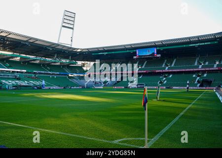 Bremen, Deutschland. Oktober 2024. BREMEN, DEUTSCHLAND - 26. OKTOBER: Ein allgemeiner Blick auf das Weserstadion vor dem 1. Bundesliga-Spiel zwischen SV Werder Bremen und Bayer 04 Leverkusen am 26. Oktober 2024 im Weserstadion in Bremen. (Foto von Andre Weening/Orange Pictures) Credit: Orange Pics BV/Alamy Live News Stockfoto