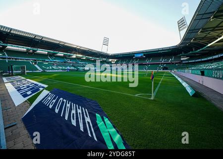 Bremen, Deutschland. Oktober 2024. BREMEN, DEUTSCHLAND - 26. OKTOBER: Ein allgemeiner Blick auf das Weserstadion vor dem 1. Bundesliga-Spiel zwischen SV Werder Bremen und Bayer 04 Leverkusen am 26. Oktober 2024 im Weserstadion in Bremen. (Foto von Andre Weening/Orange Pictures) Credit: Orange Pics BV/Alamy Live News Stockfoto