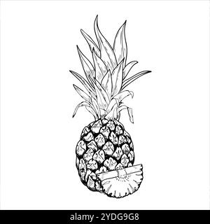 Vektor Ananas mit Blättern und Schnitt Hand gezeichnet isolierte Illustration. Einfarbige grafische Skizze mit ganzer tropischer Ananas-Frucht. Süßes Dessert Stock Vektor