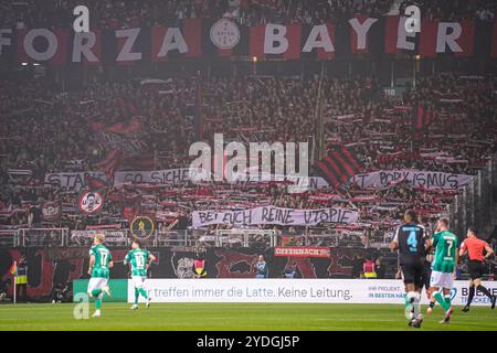 Bremen, Deutschland. Oktober 2024. BREMEN, DEUTSCHLAND - 26. OKTOBER: Fans und Fans von Bayer 04 Leverkusen beim 1. Bundesliga-Spiel zwischen SV Werder Bremen und Bayer 04 Leverkusen am 26. Oktober 2024 im Weserstadion in Bremen. (Foto von Andre Weening/Orange Pictures) Credit: Orange Pics BV/Alamy Live News Stockfoto